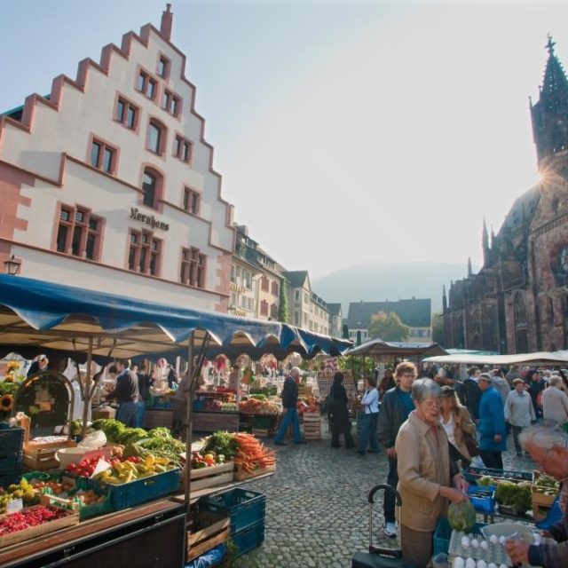 FRIBURGO: CITY-BREAK DI PRIMAVERA FRA MOSTRE, FESTE E TANTA NATURA